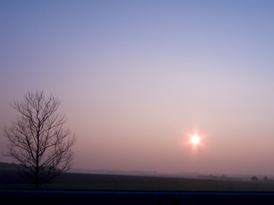 Quand l'arbre regarde le soleil se coucher sur la vallée_5520494233_l.jpg